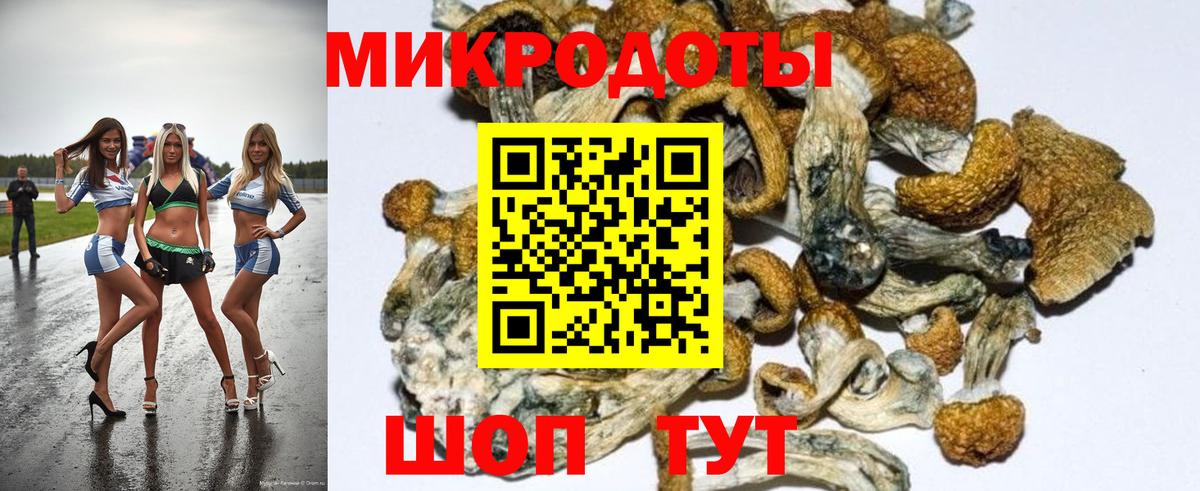 Новошахтинск  Галлюциногенные грибы Cubensis  Вход с VPN 