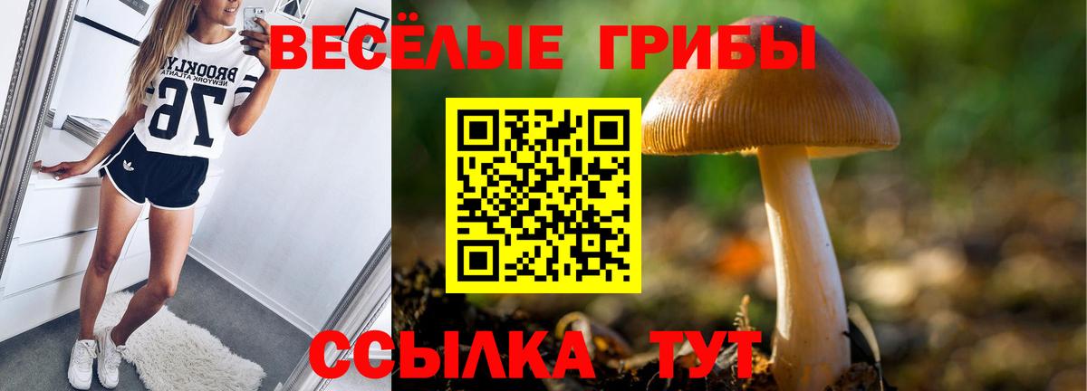 Псилоцибиновые грибы Новошахтинск
