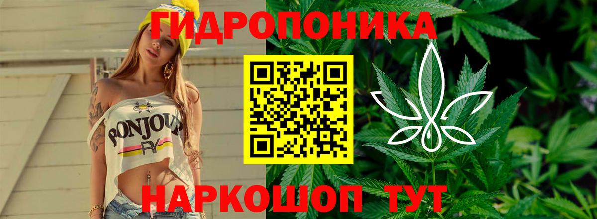 Бошки Шишки AK-47 Новошахтинск